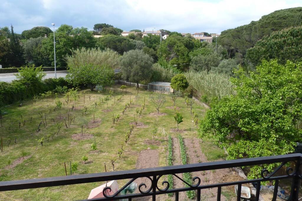 Appartement Independant Dans Villa, Entre Frejus Et St Raphael エクステリア 写真