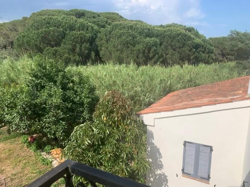 Appartement Independant Dans Villa, Entre Frejus Et St Raphael エクステリア 写真