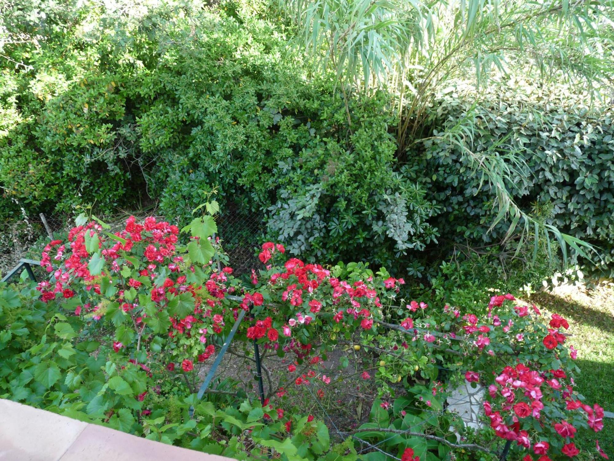 Appartement Independant Dans Villa, Entre Frejus Et St Raphael エクステリア 写真